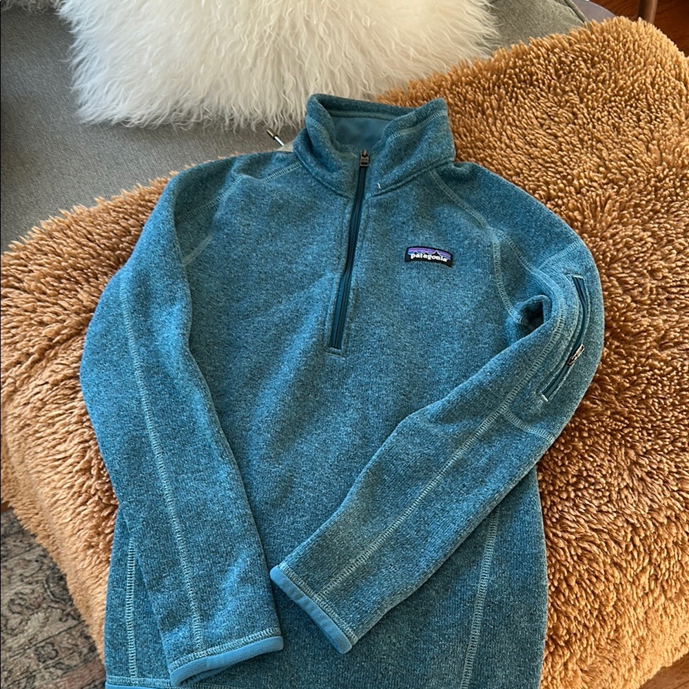 Patagonia Blue Quarter-Zip Pullover